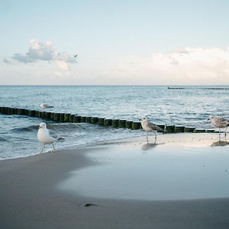 Kamphof Usedom Ferienanlage Loddin Exterior foto