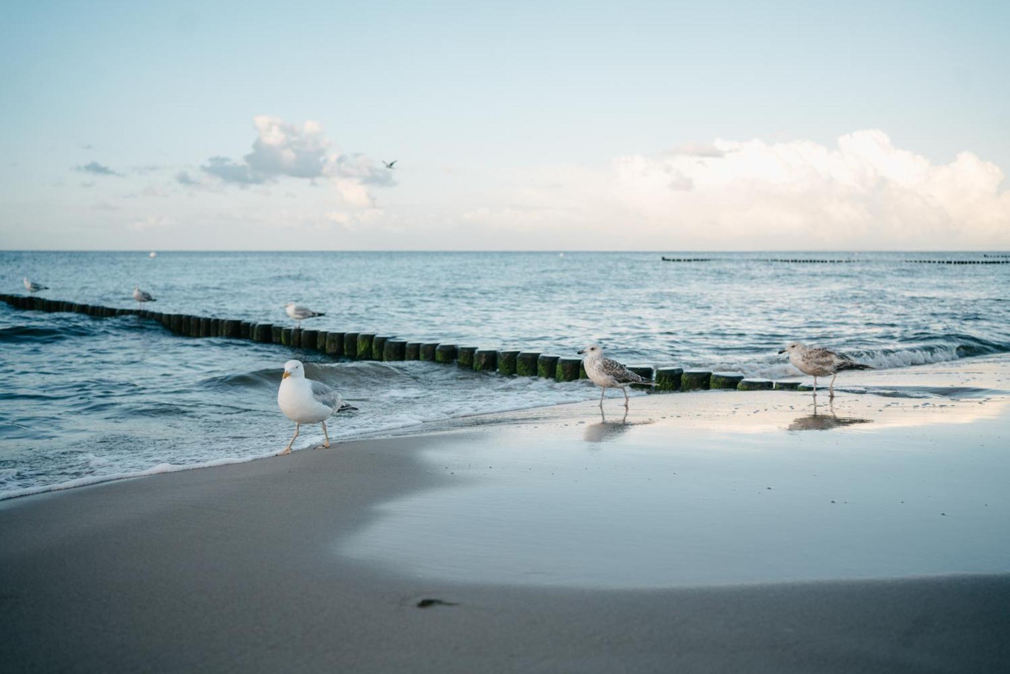 Kamphof Usedom Ferienanlage Loddin Exterior foto